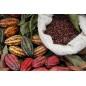 CACAO AMARO EXTRA BRUTE 22-24% 1 Kg CALLEBAUT CACAO AMARO EXTRA BRUTE 22-24% 1 Kg CALLEBAUT