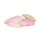 ROYAL ROSA 1kg MAXTRIS ROYAL ROSA 1kg MAXTRIS