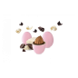 DOLCE ARRIVO ROSA MAXTRIS