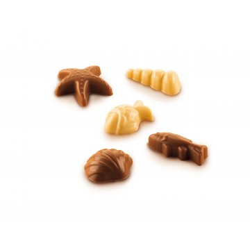 Stampo Choco Friture Silicone – Professionale 44×38 mm