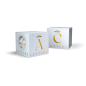 LETTERA I MAXTRIS