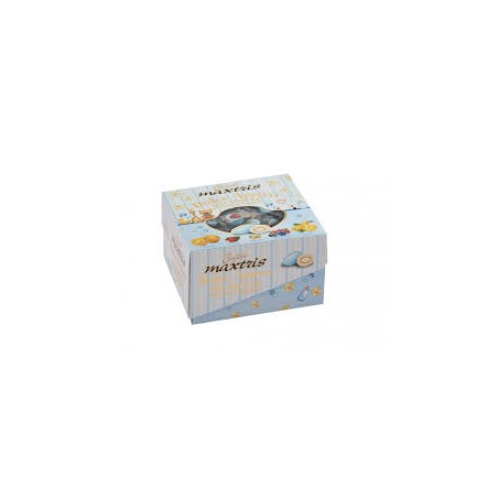 VASSOIO MIX FRUTTA CELESTE MAXTRIS