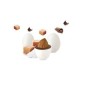 CARAMEL E FLEUR DE SEL MAXTRIS CARAMEL E FLEUR DE SEL MAXTRIS